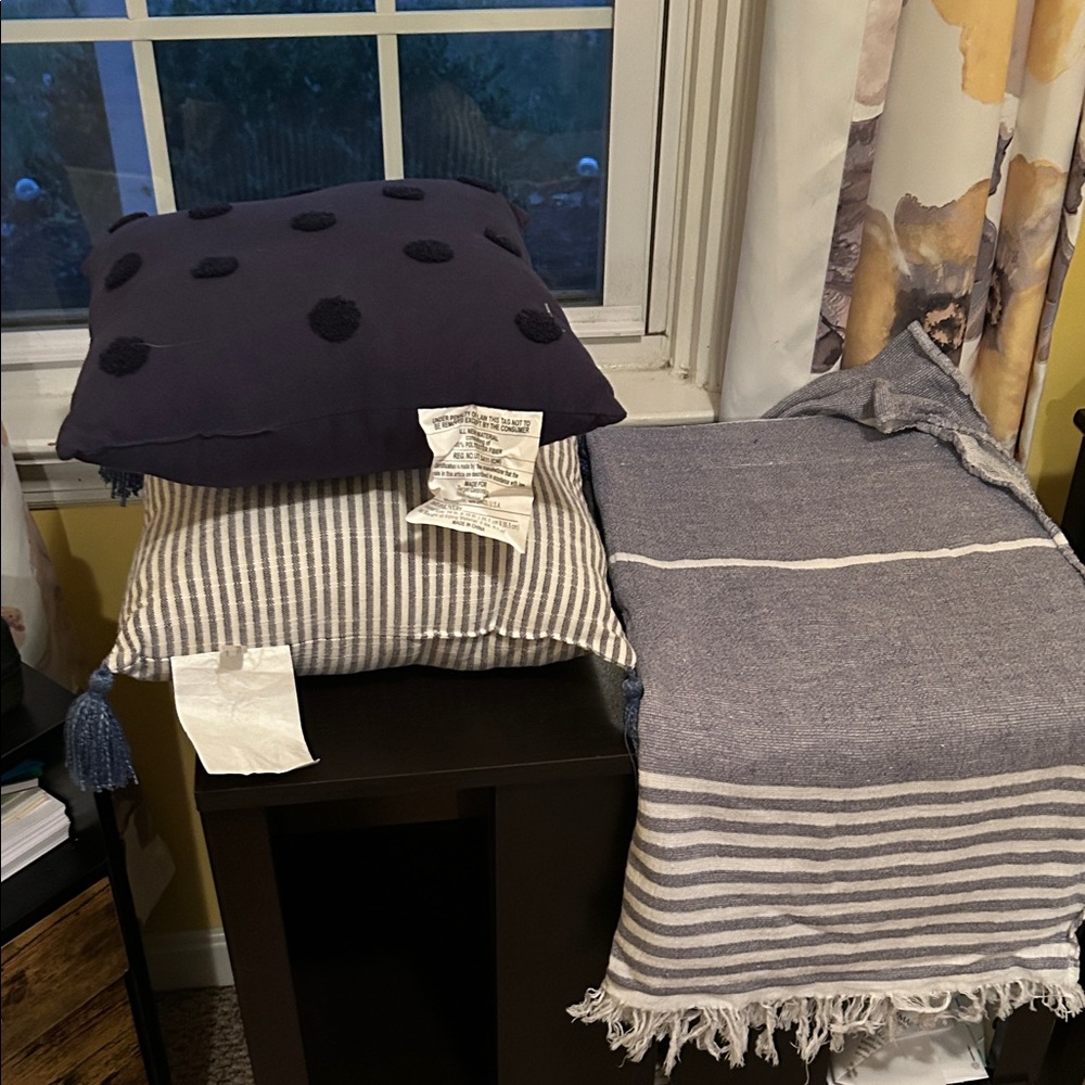 Target Blue and White Accent Pillows - Picture 5 of 6